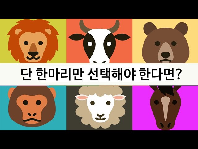 스트레스 원인을 바로 알 수 있는 동물 심리테스트 - YouTube 스트레스 원인을 바로 알 수 있는 동물 심리테스트 - Youtube