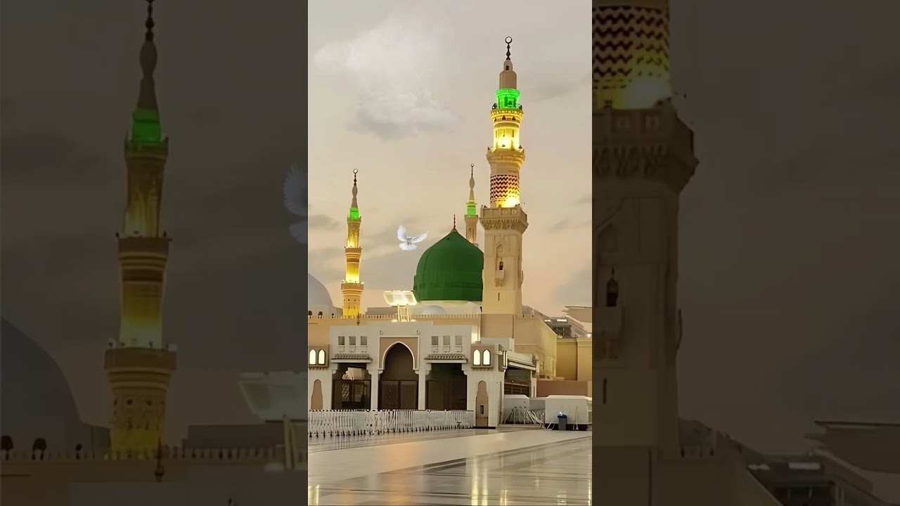 👍✅Islamic video share price 🫵