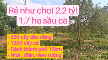 Bán vườn sầu riêng cà phê gần phố, dân cư giá rẻ, bất động sản đất rẫy