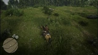 RDR2-Golden Currant-Easy to Remember Currant Location