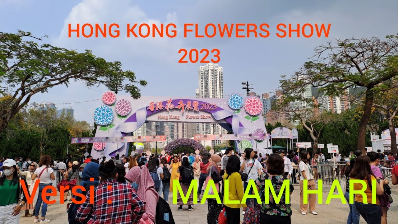 Uniknya HONG KONG FLOWERS SHOW Versi MALAM HARI YouTube