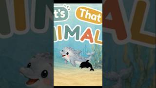 Learn Sea Animals in English | English vocabulary for kids #englishlearning #kids #toddlerlearning