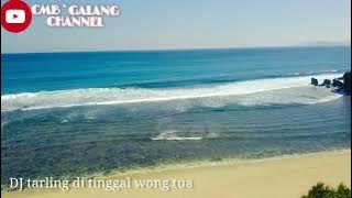 DJ tarling DI TINGGAL WONG TUA _ - _ REMIX