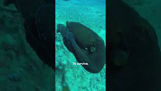 Parts Of Its Body Stop Working