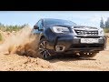 Отвезли лесника в лес. Subaru Forester IV рестайлинг | Grand тест