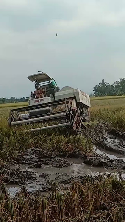 kombi awas gasruk #basuribussid