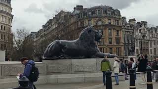 Day 6 in London (Part Two): Trafalgar Square