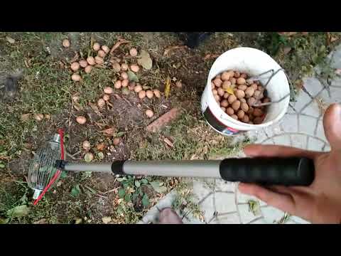 шок!!! быстрый сбор