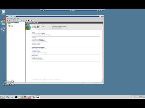 install_svn_server
