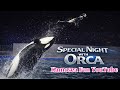 Xmasシャチスペシャルパフォーマンス2025.12.24「Special Night with Orca」 鴨川シーワールド シャチショー KamogawaSeaWorld Killer whale