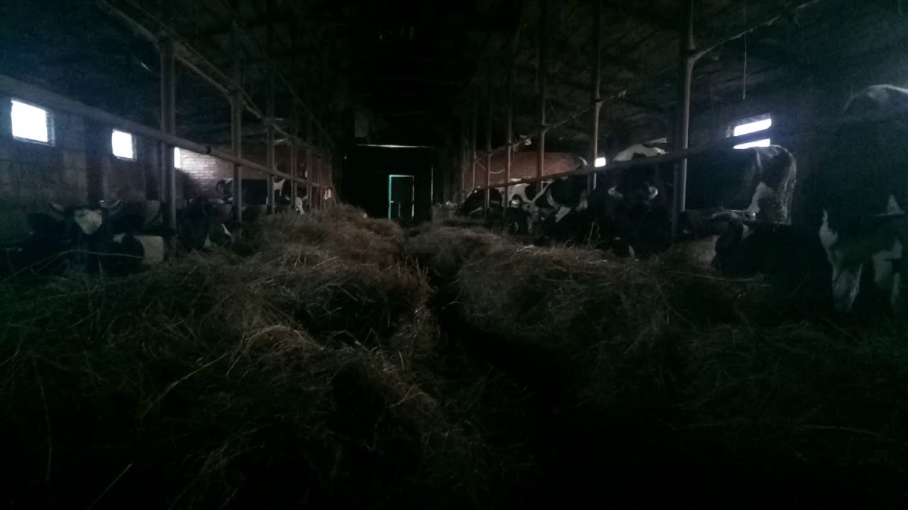 Условия гранта начинающий фермер