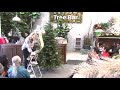 ALDIK home's Designer Joanne Sells shows us how to decorate a Christmas tree 1of3