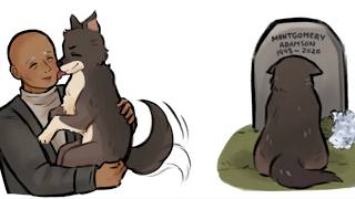 The Pitt Strays | Salmonblub