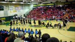Gator Guy Poms 2009
