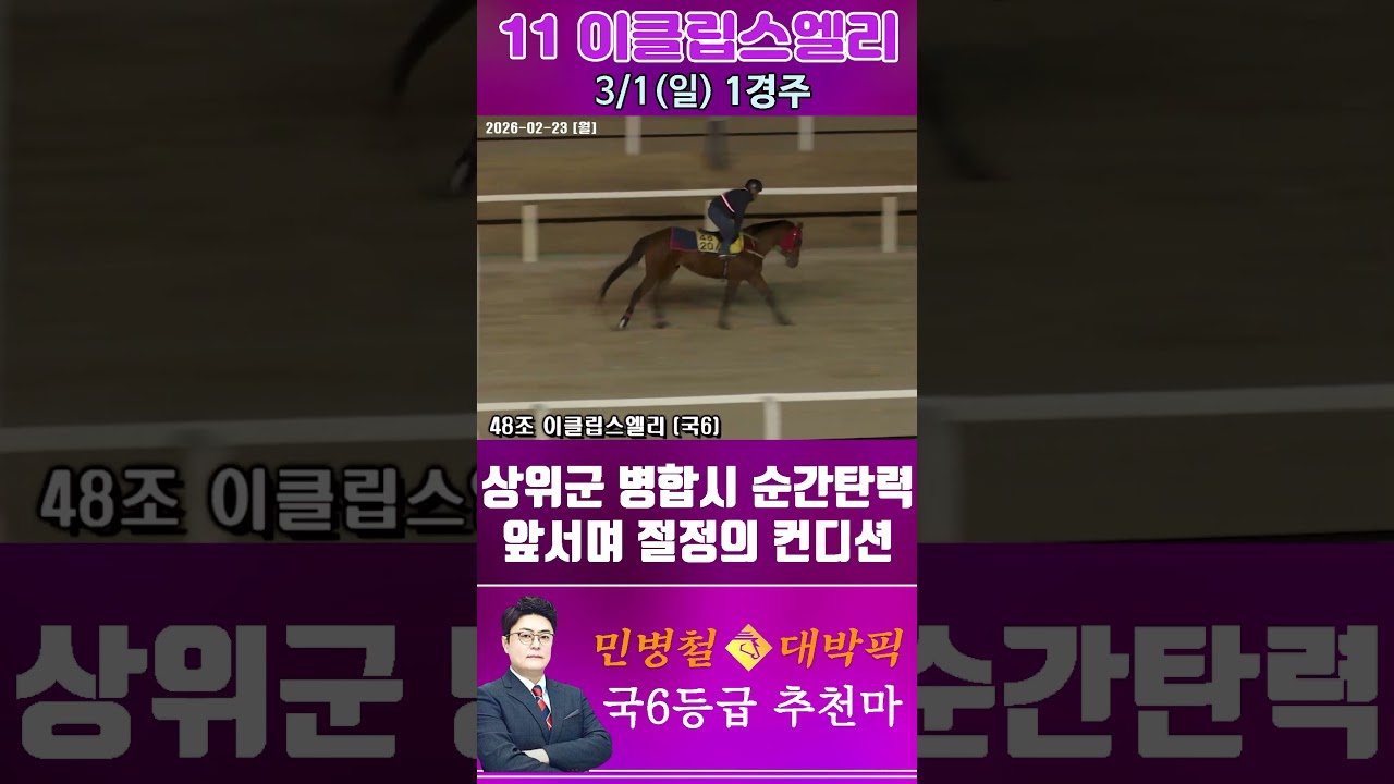 [서울 경마] 민병철 대박픽 2026년 3월 1일 일요 1R 추천마2 #한국마사회 #horse #경마 #automobile #하이라이트 #riding #sports #게임