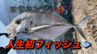 短時間釣行でまさかの魚が⁉️ #シマノ25コルトスナイパーSSロングS130 #ライトショアジギングロッド #鹿児島つり