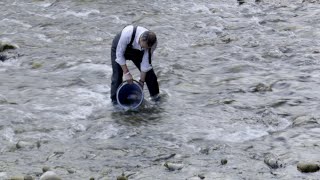 Cantabria adelanta el traslado de miles de peces de los ríos por la sequía