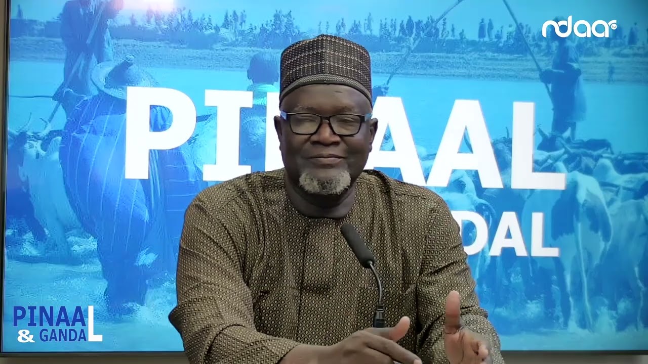 Pinaal Gandal AEC BASSIROU BAH PARTIE 2