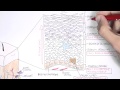 The Skin Anatomy Physiology And Microbiology 