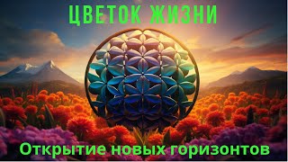 🔥МАНДАЛА Цветок Жизни 🏆Путешествие внутрь себя и открытие новых горизонтов
