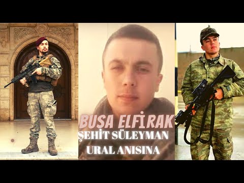 Busa - Elfirâk