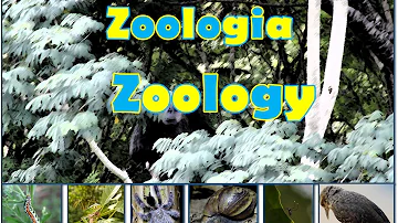 Qual é o objetivo da zoologia?