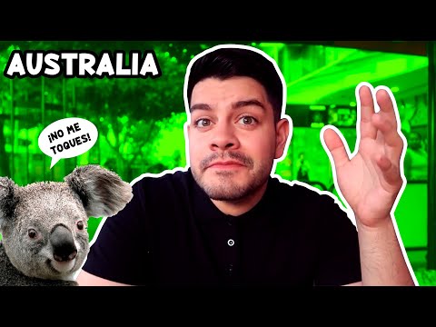 Vídeo: Abrazando A Los Koalas En Australia: Por Qué Los Turistas Deberían Detenerse