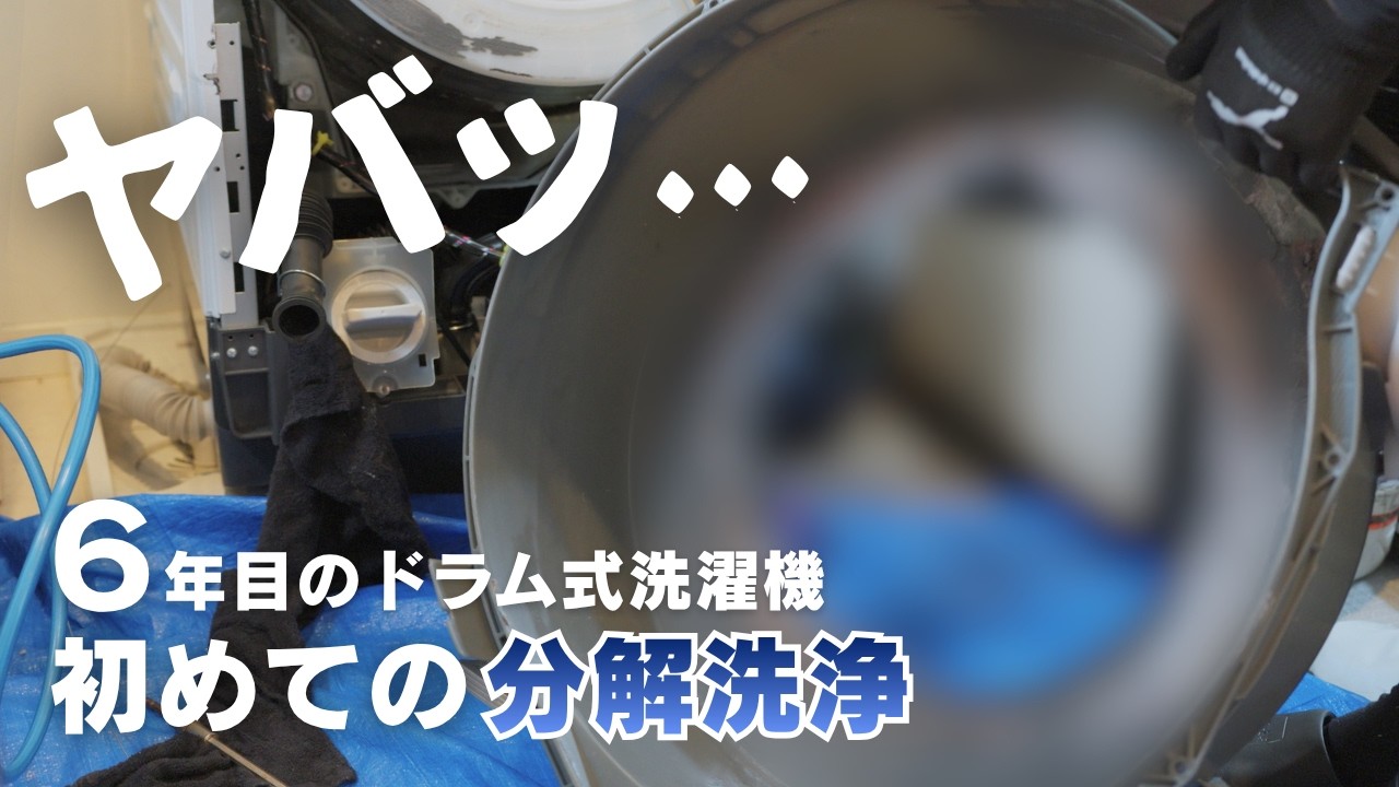 Graphic] I hired a pro to deep-clean my front-load washer and they