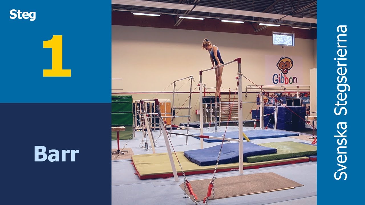 Barr - Steg 1