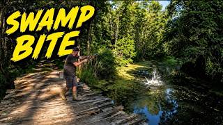 This hidden swamp bridge was LOADED with bluegill and shellcracker!