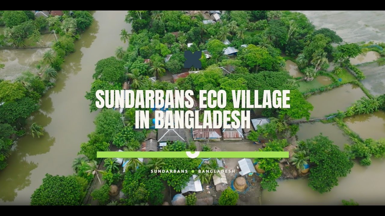 Sundarban Bangladesh Verde Back To The Sundarbans – State Of The