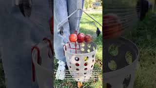 Amazing Fruit Picker Tool Makes Harvesting Faster #viral #shorts #video #technology
