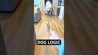 Polar Bear Gets Baxter