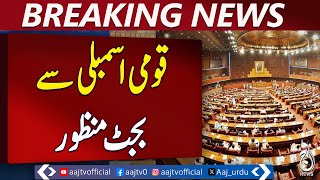 National Assembly approves budget 2025-26 amidst opposition criticism | Breaking News