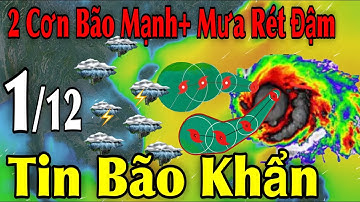 2 Cơn Bão Mạnh Mưa Rét Đậm Tin Bão Khẩn | Dự báo thời tiết ngày 1/12 | thời tiết 15 ngày Tới
