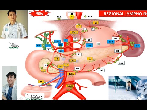 Ung thư dạ dày. Cập nhật mới nhất Chẩn đoán và điều trị