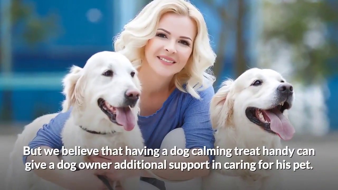 Do Dog Calming Treats Really Work YouTube