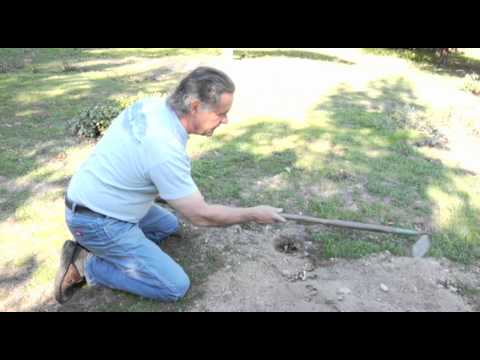 Ground Squirrel Follow up - Prune Like a Pro