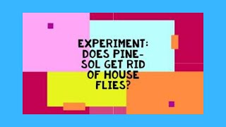 Experiment: Does Pine-Sol keep house flies away Lets experiment and find out...