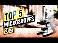 BEST Microscope 2021 (TOP 5)