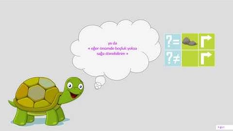 Tospaa Bilgisayarsız Kodlama  4.Gün - Koşullar(If)- Unplugged Coding