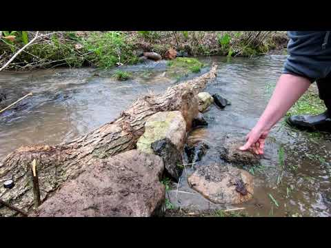Stream Restoration Project | Deer Park 100% Natural Spring Water | BlueTriton Brands - video from BlueTriton