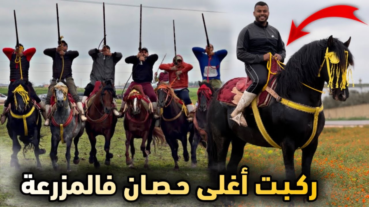 ركبة بعقلها مع لحباب 😍. وركبت أغلى حصان فالمزرعـة 🥇.. رأي بدريس فسربتنا المتواضعة 🤲🏼..