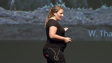 Public lecture by A Dornhaus: Complexity and Evolvability: What Makes Life So Interesting?