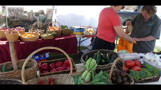 Food Supply Chain Crisis: Local Solutions for a Resilient Future