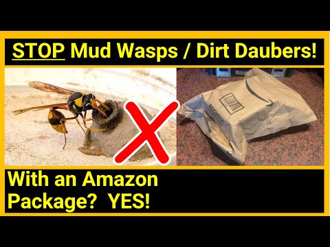 Vídeo: O spray de vespa matará os daubers da sujeira?