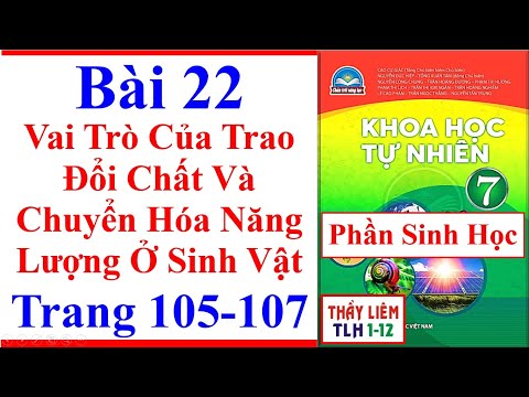 Video Khoa Học Tự Nhiên 7 Bài 22 | Vai Trò Của Trao Đổi Chất... - YouTube