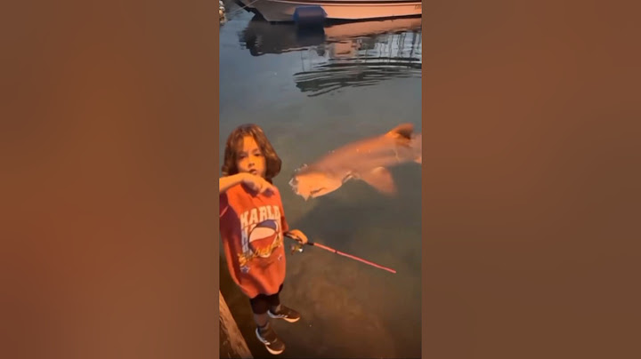 Terlalu berani ‼️ bocah ini mencoba mancing hiu 😱 #megalodon  #mancing #shots