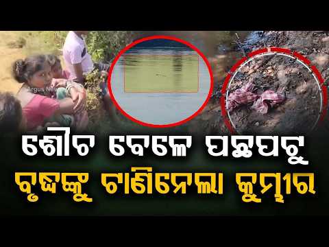 ବୃଦ୍ଧଙ୍କୁ ଟାଣିନେଲା କୁମ୍ଭୀର |Crocodile Drags Elderly Man Into Kharasrota River In Jajpur | Argus News