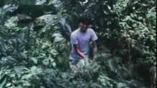 Miniatura de vídeo de "mr os - durian"